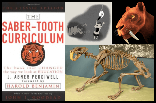 Saber-toothed Curriculum